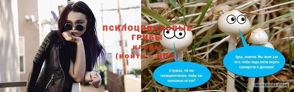 спиды Верея