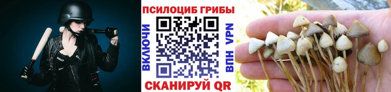 MEGA ссылка  нарко площадка как зайти  Ермолино  Галлюциногенные грибы мухоморы  где купить наркоту 